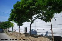 Imagine atasata: Kaufland Kogalniceanu - 2015.08.02 - 06.jpg